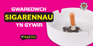 casgen sigarét mewn blwch llwch
