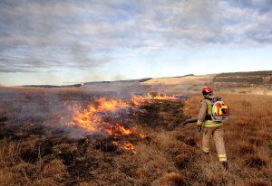 Firefighter tackling a wildfire on a mountain